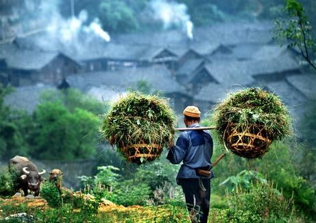 人口过程_城镇化是一个长期的历史过程.在这个过程中,既有人口从农村向