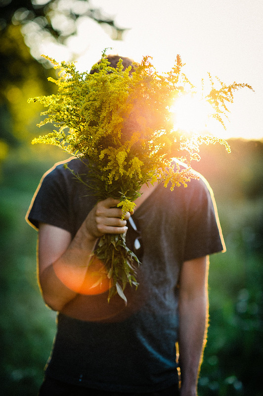 心灵治愈系背景图:愿那份宁静,自始如一!