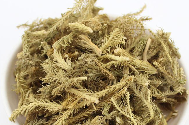 伸筋草的功效与作用伸筋草的食用禁忌