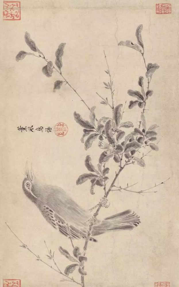 写生珍禽图|【博闻强识】宋画，中国丹青史的高峰！