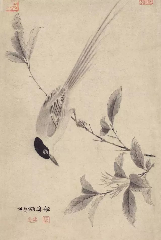 写生珍禽图|【博闻强识】宋画，中国丹青史的高峰！