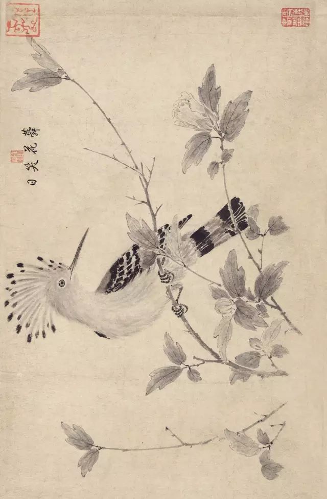 写生珍禽图|【博闻强识】宋画，中国丹青史的高峰！