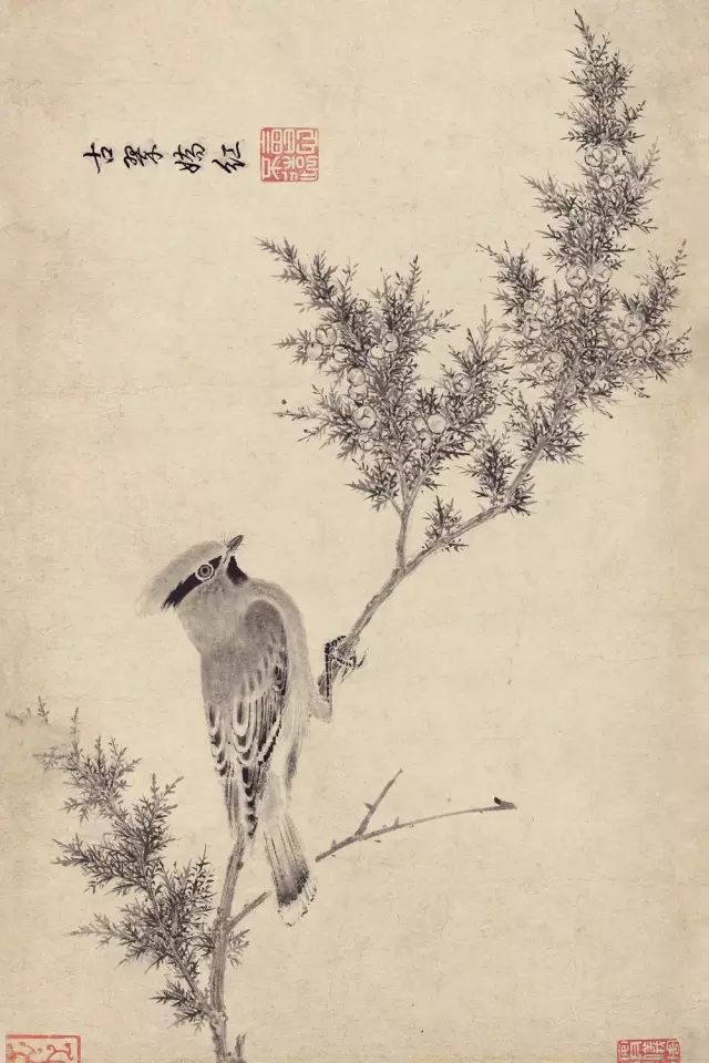 写生珍禽图|【博闻强识】宋画，中国丹青史的高峰！
