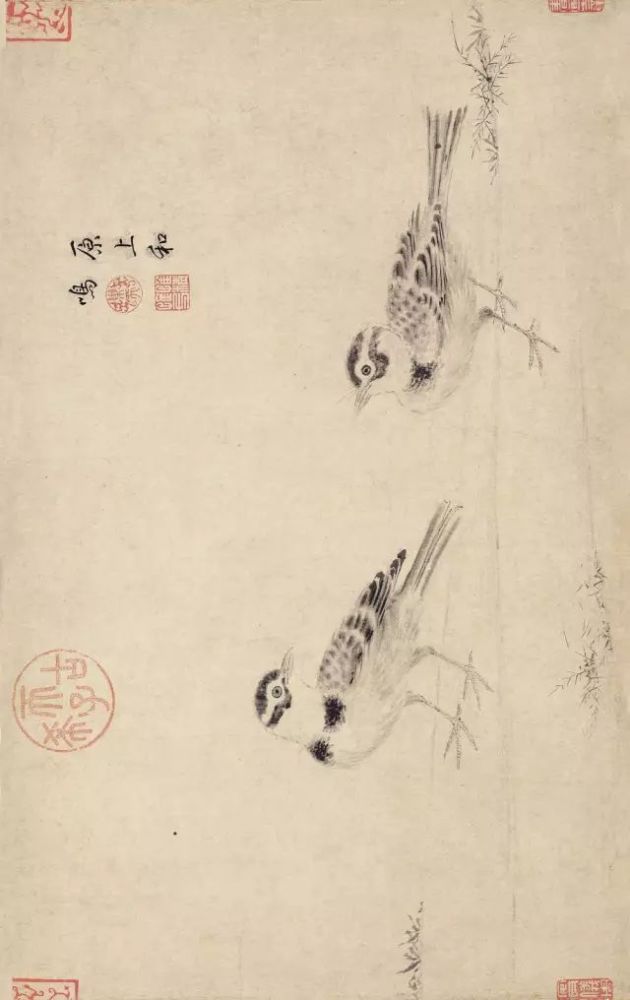 写生珍禽图|【博闻强识】宋画，中国丹青史的高峰！