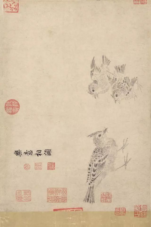 写生珍禽图|【博闻强识】宋画，中国丹青史的高峰！