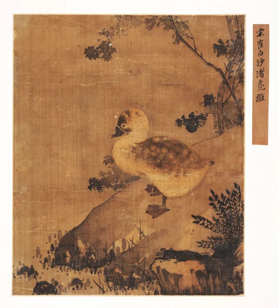 写生珍禽图|【博闻强识】宋画，中国丹青史的高峰！