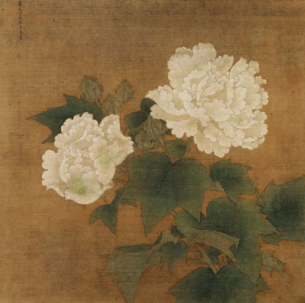写生珍禽图|【博闻强识】宋画，中国丹青史的高峰！