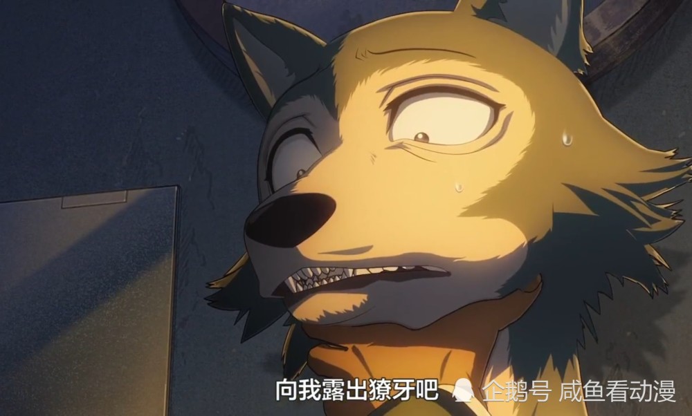 《beastars》路易对雷格西的态度为什么前后转变那么大?