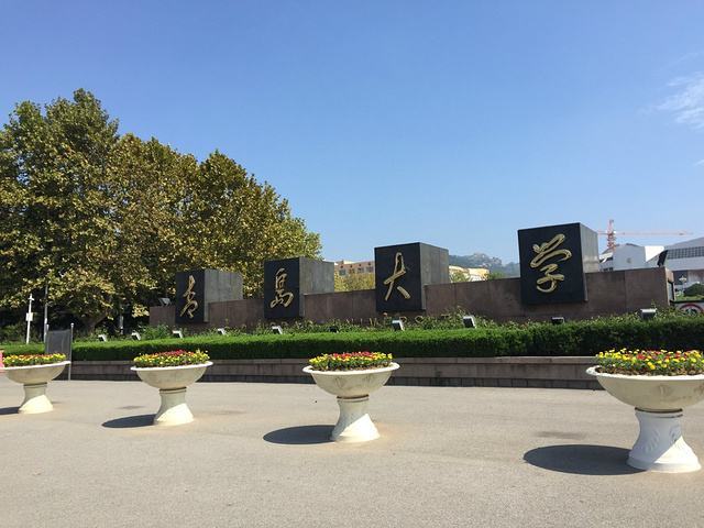 山东大学一本排名_校友会2019山东省一流学科排名山东大学第一(2)