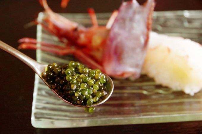 北海道葡萄虾你见过吗小小一只要一百多元刺身原汁原味