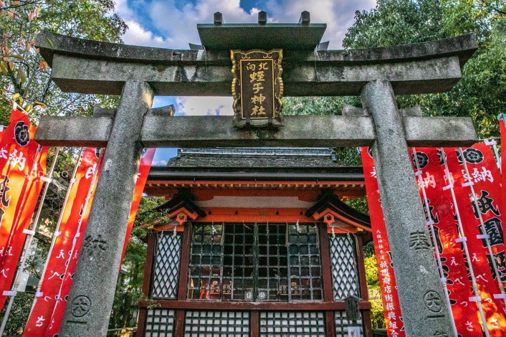 日本这座神社是盛唐风格 当文化具体到建筑 中日区别令人思考 腾讯新闻