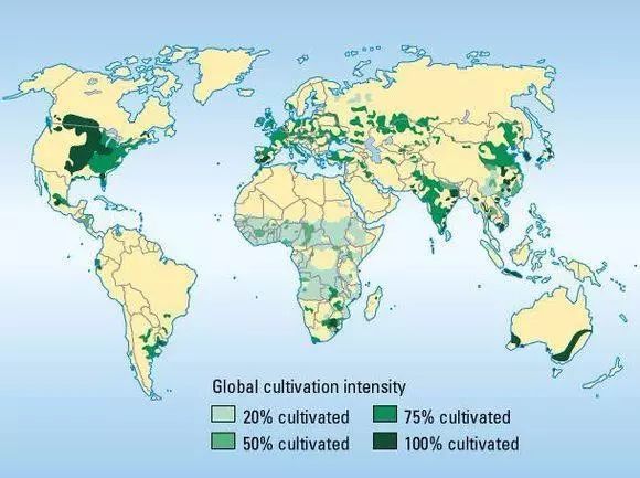 美国中国及印度可耕地面积世界排名前三