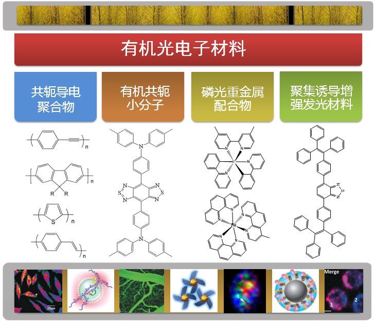 以有机共轭小分子,磷光重金属配合物,聚集诱导增强发光材料为辅的有机