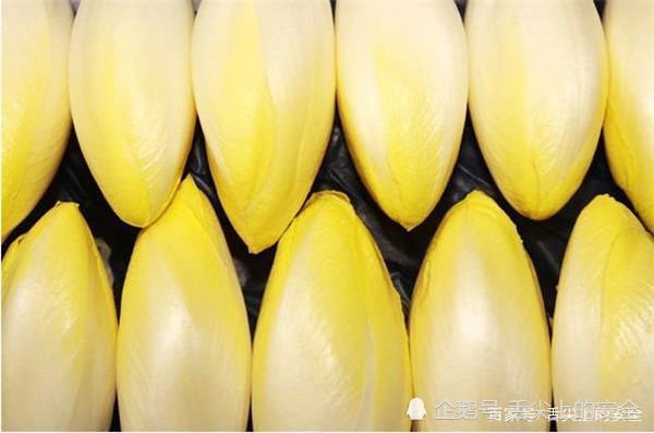 农民种植 见不得光 的高价蔬菜 在欧洲很火 为何中国人不爱 腾讯新闻