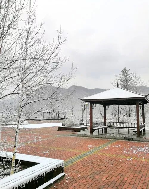 在凤城市四门子镇,飘飘洒洒的雪花下个不停,整个镇子被盖上了一层薄薄