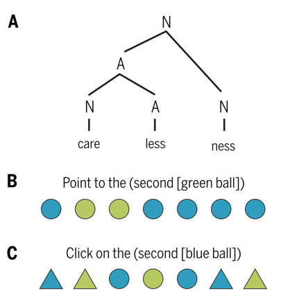 人脑中存在语言处理中心吗?Science专评的