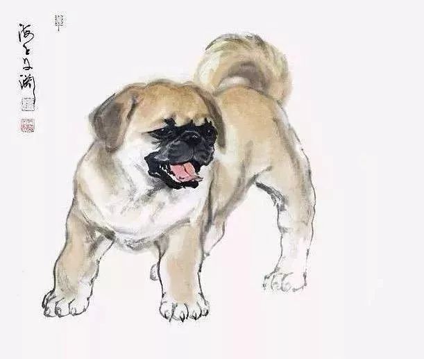 我爱学习系列——狗狗诗句 咏狗诗