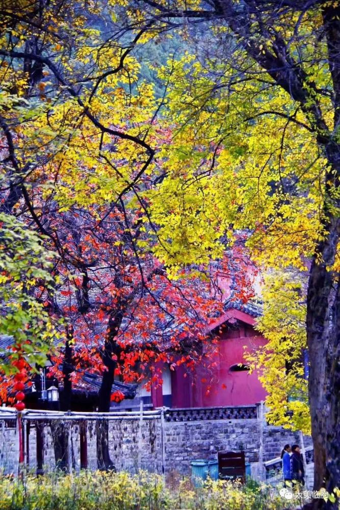 深山藏古寺,云里听梵音