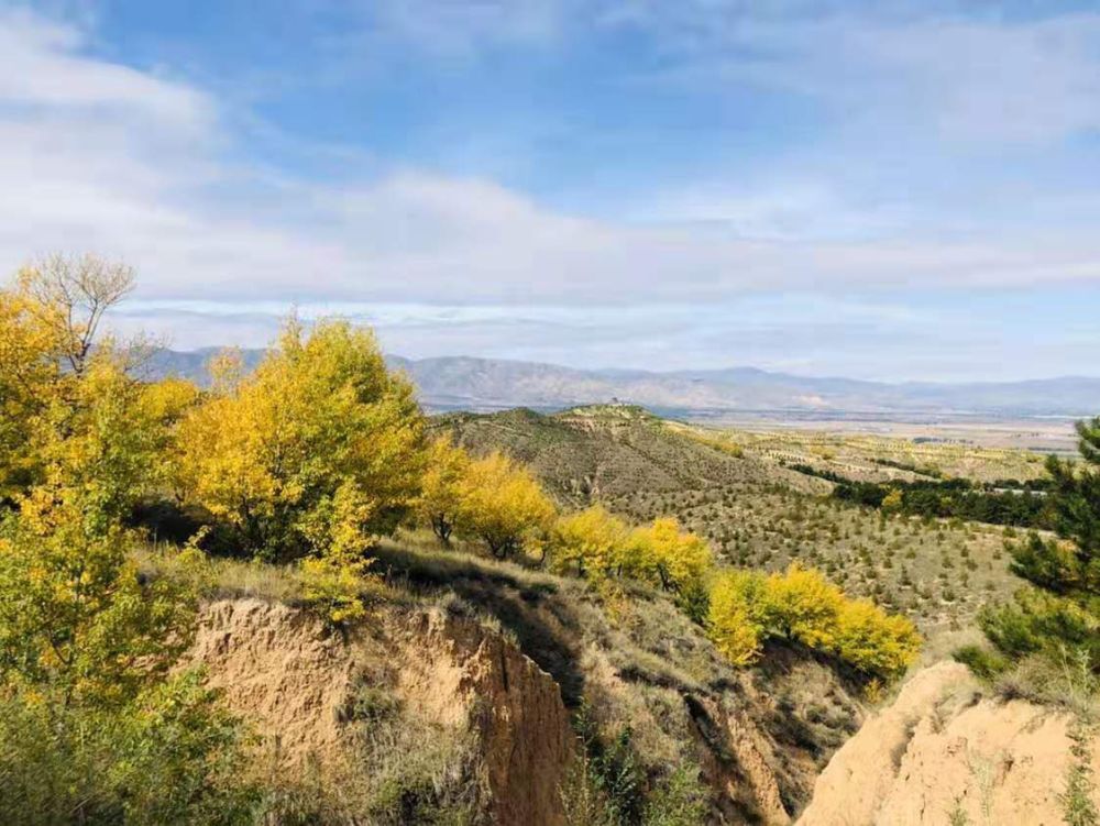 乡村文旅大泉山又是一年秋叶黄