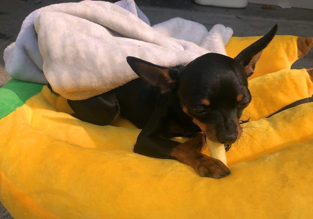 腾讯内容开放平台