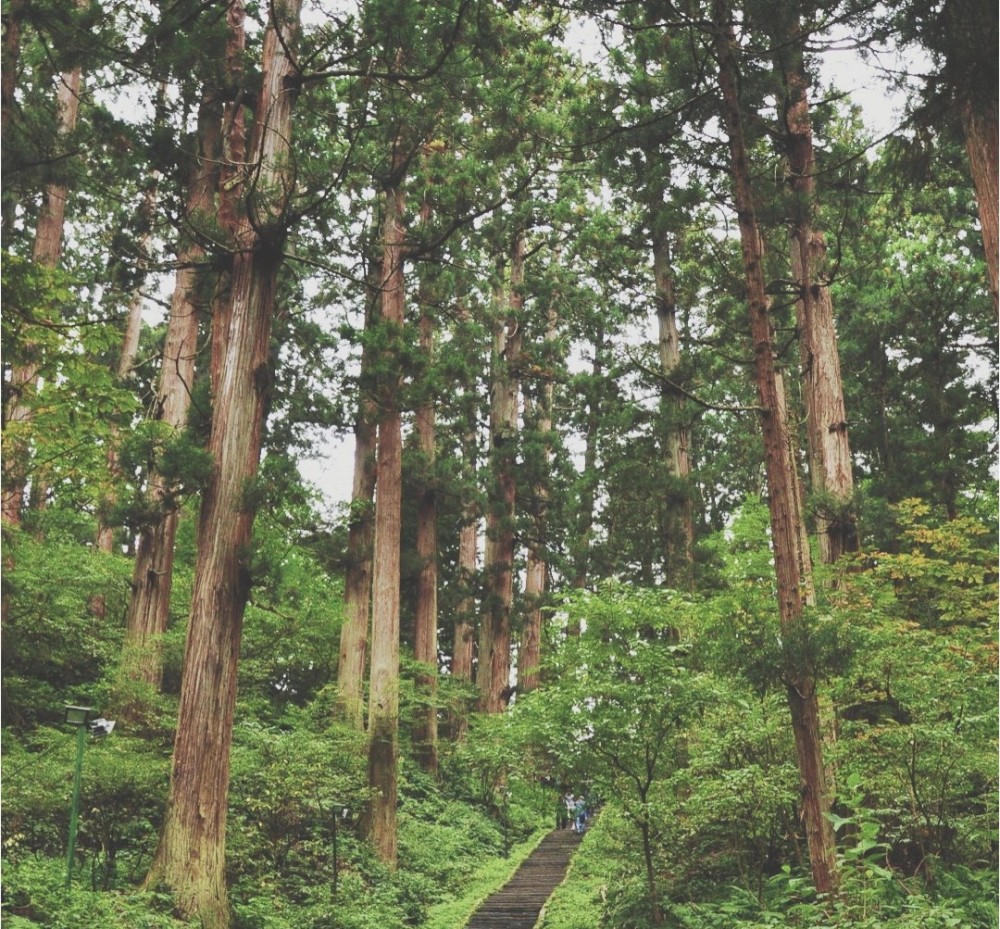 日本山形县 小众旅行地 腾讯新闻