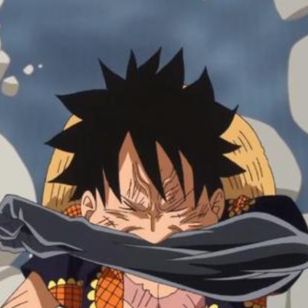 d.路飞四档,气吞山河,强力十足