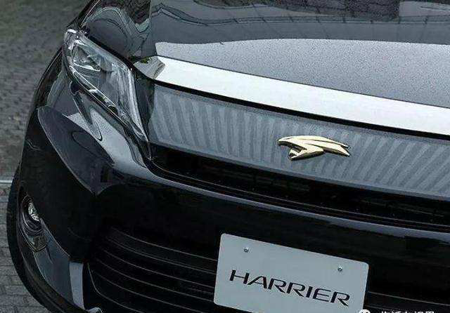 闪电车标 这道闪电标非常的简洁易懂,不过却是rav4的专属车标,可惜