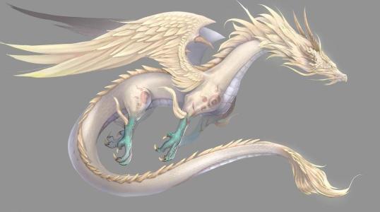 龙的原型居然是它,原来就在我们身边.网友:不敢相信