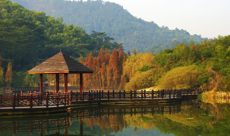 广州大夫山森林公园,周末游玩好去处!