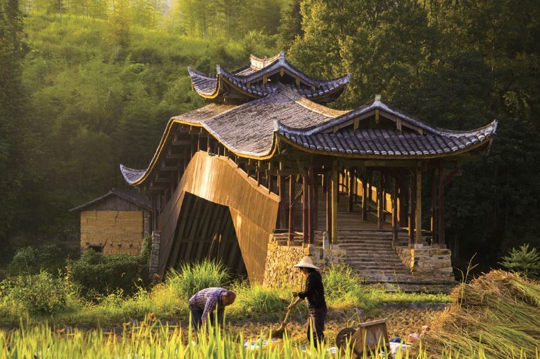 温州村|这就是温州！