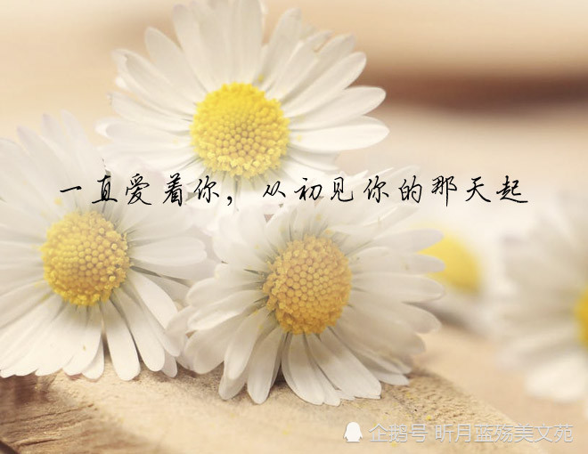 一直爱着你,从初见你的那天起