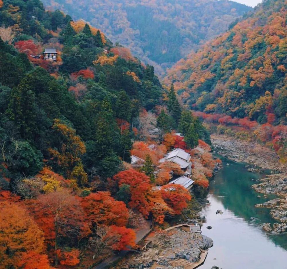 京都岚山红叶大赏 腾讯新闻