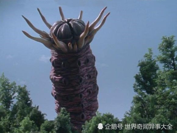 5,沙伊哥美扎德身长:66米,体重:3万6千吨.