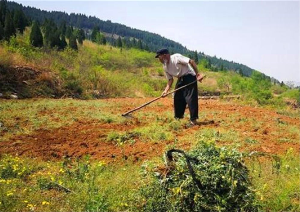 土地确权,私人开垦的荒地怎么处理?