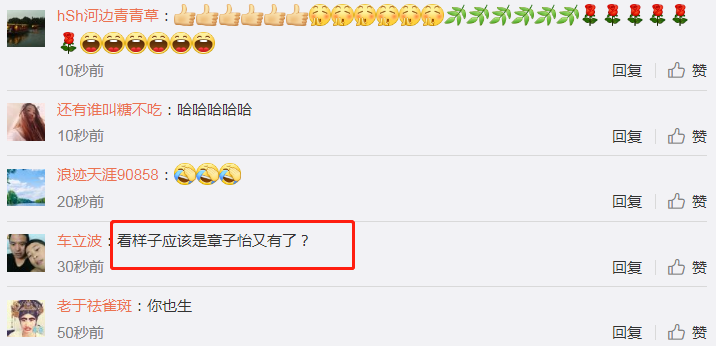 章子怡怀二胎，汪峰前任葛荟婕疑暗怼：你在繁殖吗？（组图） - 6
