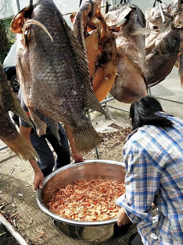 海芒魚的收漁期說的就是三種最受當地漁民歡迎的海魚