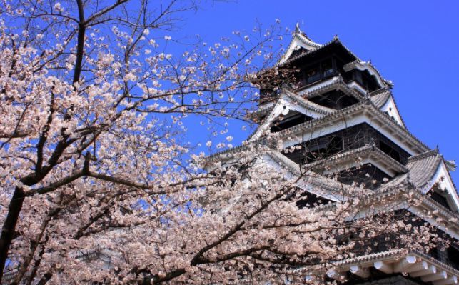 北九州福冈 别府 熊本 长崎五日游 一次满足你四个愿望 下 腾讯新闻