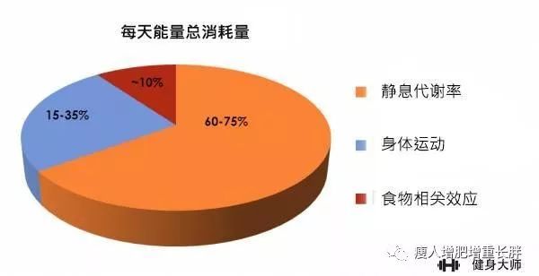 减肥饮食清单_怎样饮食减肥_减肥饮食一日三餐搭配