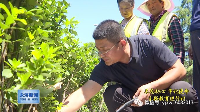 张军刚:投身环卫讲奉献 不畏艰辛敢担当