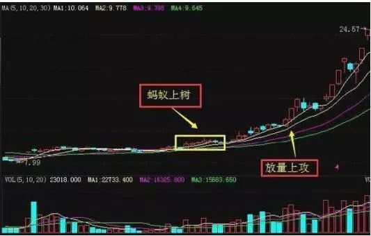 华尔街终结者:鳄鱼原则告诉你该如何交易!