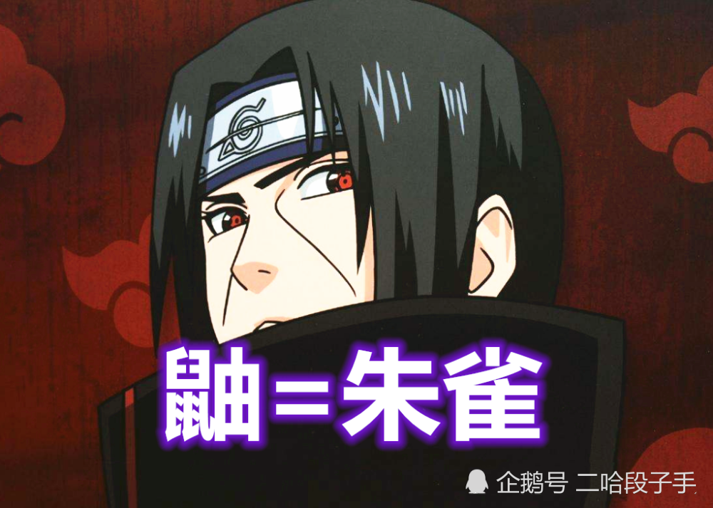 火影晓组织成员代号鼬朱雀蝎玉女看到小南难怪长门瘦骨如柴