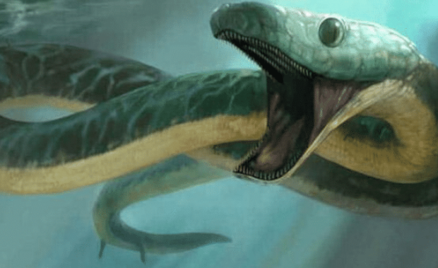 曾经有一种长着爪子的蛟蛇,生活在1亿年前,会是龙的原型吗?