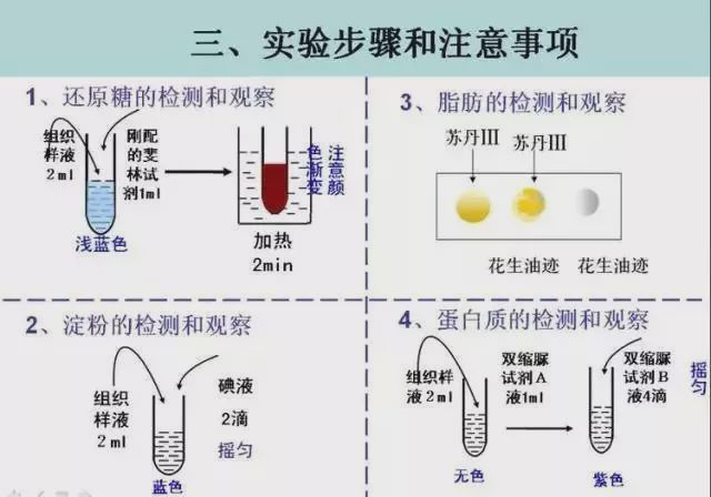 干货 高考生物16个实验原理解析 收藏备用 腾讯新闻