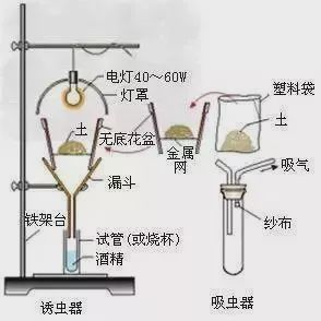 干货:高考生物16个实验原理解析,收藏备用