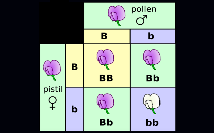 Magdalena Skipper 达尔文不知道 而我们知道的事 腾讯新闻