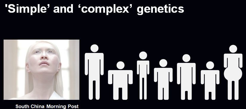 Magdalena Skipper 达尔文不知道 而我们知道的事 腾讯新闻