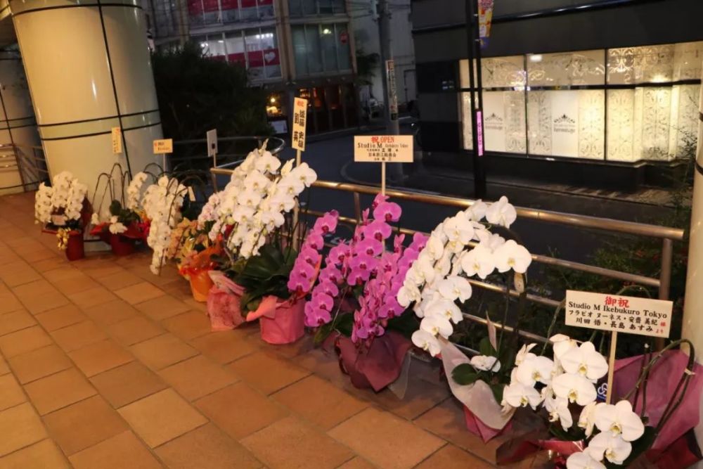 这个中国女人在东京池袋等了年 今天终于梦想成真 腾讯新闻