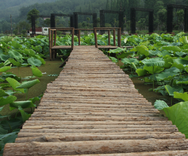 浙江豪车排行_富商云集,浙江豪车排行榜,马云不上榜是什么情况