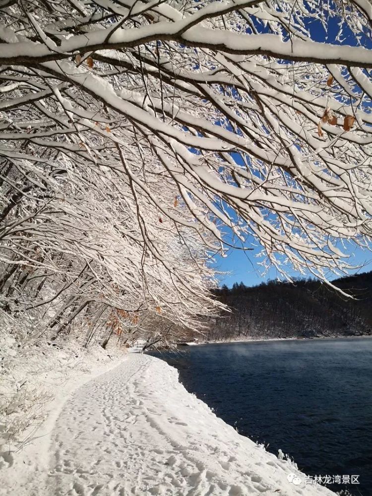 一场大雪后的辉南龙湾,美得如仙似画!