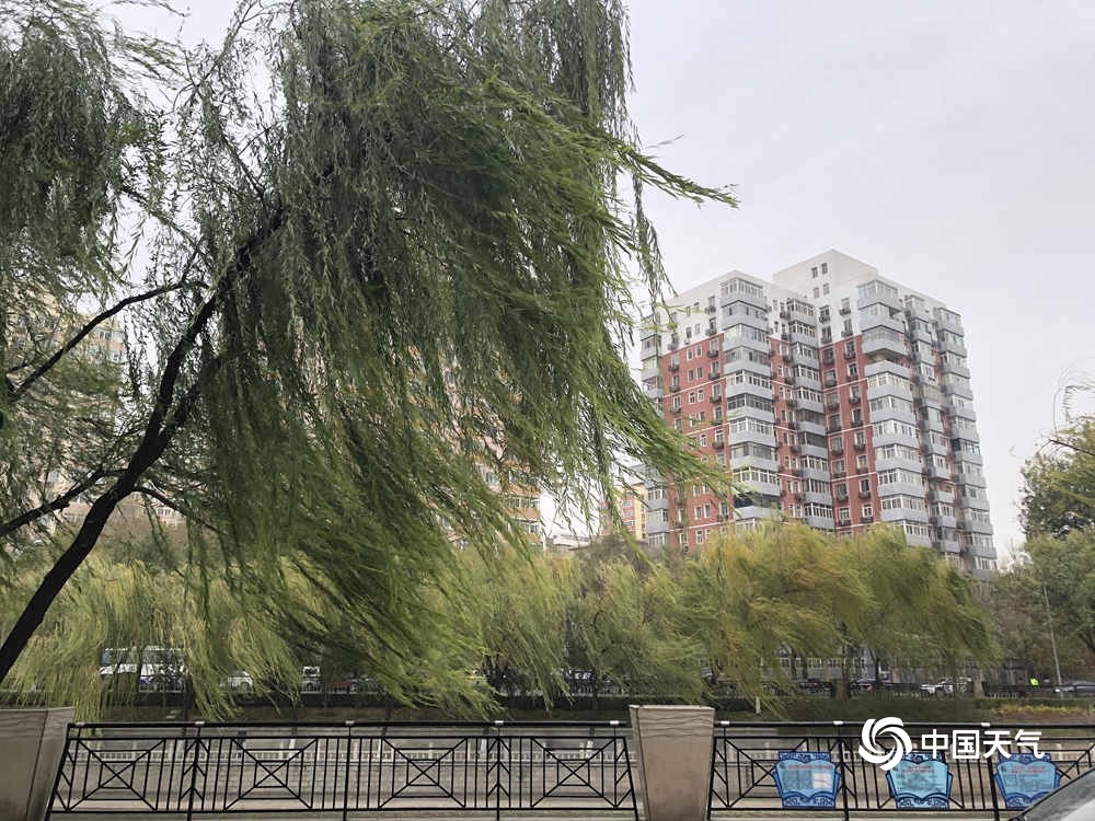 秋风扫落叶 北京今日午后现8级大风